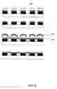 Fig. 08 - Planarization methods for patterned media disks