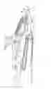 Fig. 01 - Gardening tool with retaining assembly