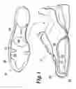 Fig. 02 - ADJUSTABLE ARCH SUPPORT ASSEMBLY