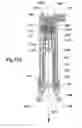 Fig. 30 - Vertical fore grip with bipod
