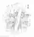 Fig. 05 - Continuously variable transmission