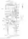 Fig. 03 - Steering column assembly for a vehicle