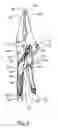 Fig. 09 - Hose clam locking pliers