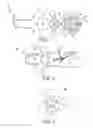 Fig. 02 - Jelly/jam bird feeder