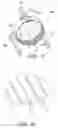 Fig. 04 - Animal exerciser