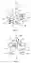 Fig. 07 - Injector mounting structure of V-type internal combustion engine