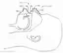 Fig. 01 - METHOD AND DEVICE FOR IMPROVING EFFICIENCY OF BREATHING