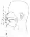 Fig. 02 - METHOD AND DEVICE FOR IMPROVING EFFICIENCY OF BREATHING
