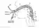 Fig. 01 - Gastro-Laryngeal Mask