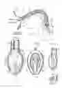 Fig. 02 - Gastro-Laryngeal Mask