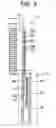 Fig. 04 - Method and apparatus for completing a well