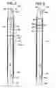 Fig. 06 - Method and apparatus for completing a well