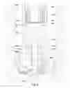 Fig. 07 - Downhole hammer assembly
