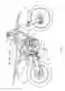 Fig. 02 - Vehicle including frame, swing arm and side-supported damper