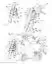 Fig. 07 - Stepladder