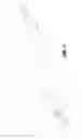 Fig. 04 - Container