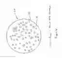 Fig. 07 - Method and system for collecting cells of a biological specimen