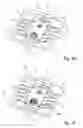 Fig. 04 - Method of making an optoelectronic module and optoelectronic module obtained by such method