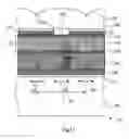 Fig. 12 - Solid-state imaging element, photo-detector and authentication system using the photo-detector