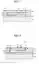 Fig. 05 - Method of forming a vertical image sensor that includes patterning an oxide layer to form a mask for implanting a floating diffusion area