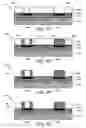 Fig. 06 - Tubular-shaped bumps for integrated circuit devices and methods of fabrication