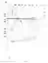 Fig. 07 - Dual mode printer