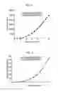 Fig. 06 - Organic light emitting display device and method of fabricating the same