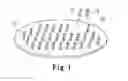 Fig. 02 - Method of manufacturing a probe