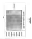 Fig. 32 - System and synchronization process for inductive loops in a multilane environment