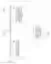 Fig. 09 - Medical overlay mirror