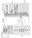 Fig. 07 - Image-displaying system, image-displaying apparatus, and image-displaying method
