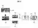 Fig. 07 - METHOD AND APPARATUS FOR DETECTING CAPTION OF VIDEO