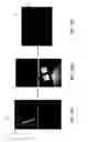 Fig. 29 - Nanowire-based transparent conductors and applications thereof