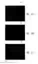 Fig. 33 - Nanowire-based transparent conductors and applications thereof