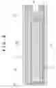 Fig. 09 - Light source module, light source apparatus and liquid crystal display