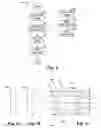 Fig. 04 - System and method for light collection and homogenization