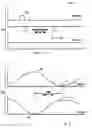 Fig. 06 - Cargo dimensional and weight analyzing system