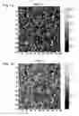 Fig. 15 - Reproducing apparatus and reproducing method