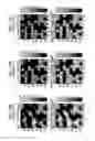 Fig. 19 - Reproducing apparatus and reproducing method