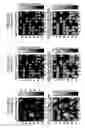 Fig. 20 - Reproducing apparatus and reproducing method