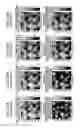 Fig. 23 - Reproducing apparatus and reproducing method