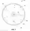 Fig. 07 - Annulus clamping and backside gas cooled electrostatic chuck