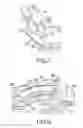 Fig. 08 - Electronic apparatus and illuminating device having a translucent member with incident lines of protrusions
