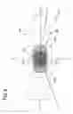 Fig. 07 - Vehicle lamp