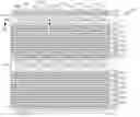 Fig. 01 - Dual-bit memory device having trench isolation material disposed near bit line contact areas