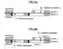 Fig. 08 - Performing error-free access operation on multi-layered disc
