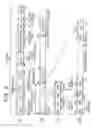 Fig. 04 - Information recording medium, method and apparatus for recording and reproducing information