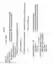 Fig. 09 - Adaptive Frame Synchronization in a Universal Mobile Telephone System Receiver