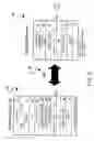 Fig. 07 - Method and system for quality of service support for Ethernet multiservice interworking over multiprotocol lable switching