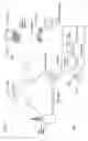 Fig. 43 - Moving picture coding method, and moving picture decoding method
